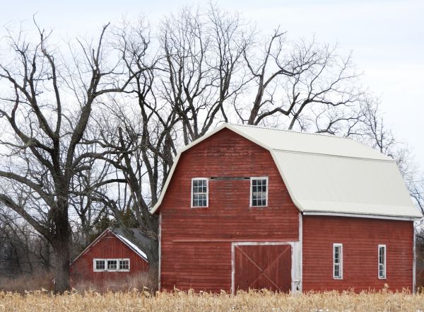 Storage Barn Construction